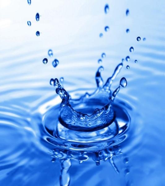 Штора для ванной комнаты Zalel Z-001 180x200 см фотопринт, синяя