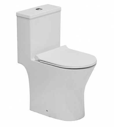 Унитаз-монолит EvaGold TR1197 безободковый с сиденьем Soft Close