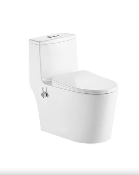 Унитаз-монолит EvaGold 5003B с функцией биде, сиденье с микролифтом, EG050014