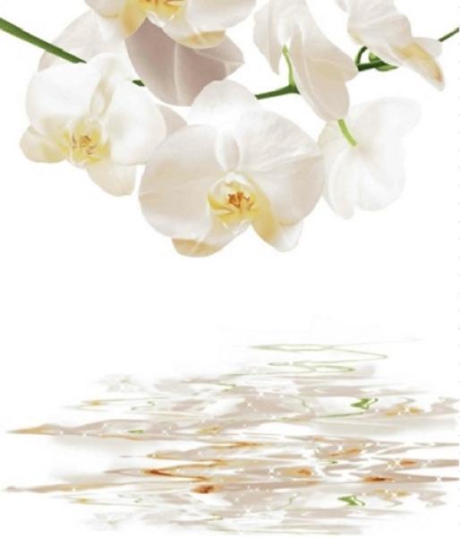 Штора для ванной комнаты Zalel YQL DX-130 180x200 см фотопринт, белая